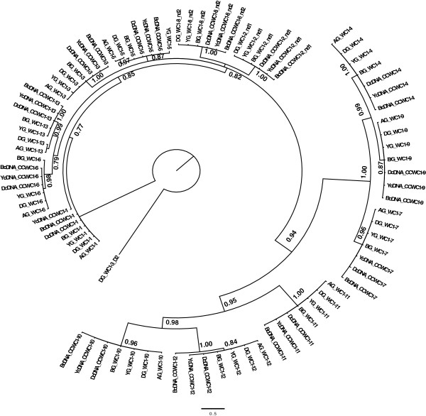 Figure 10