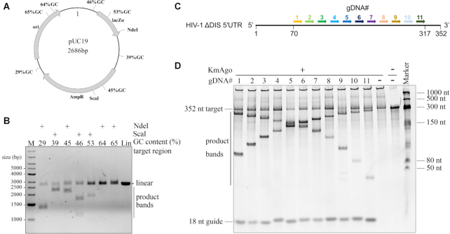 Figure 7.