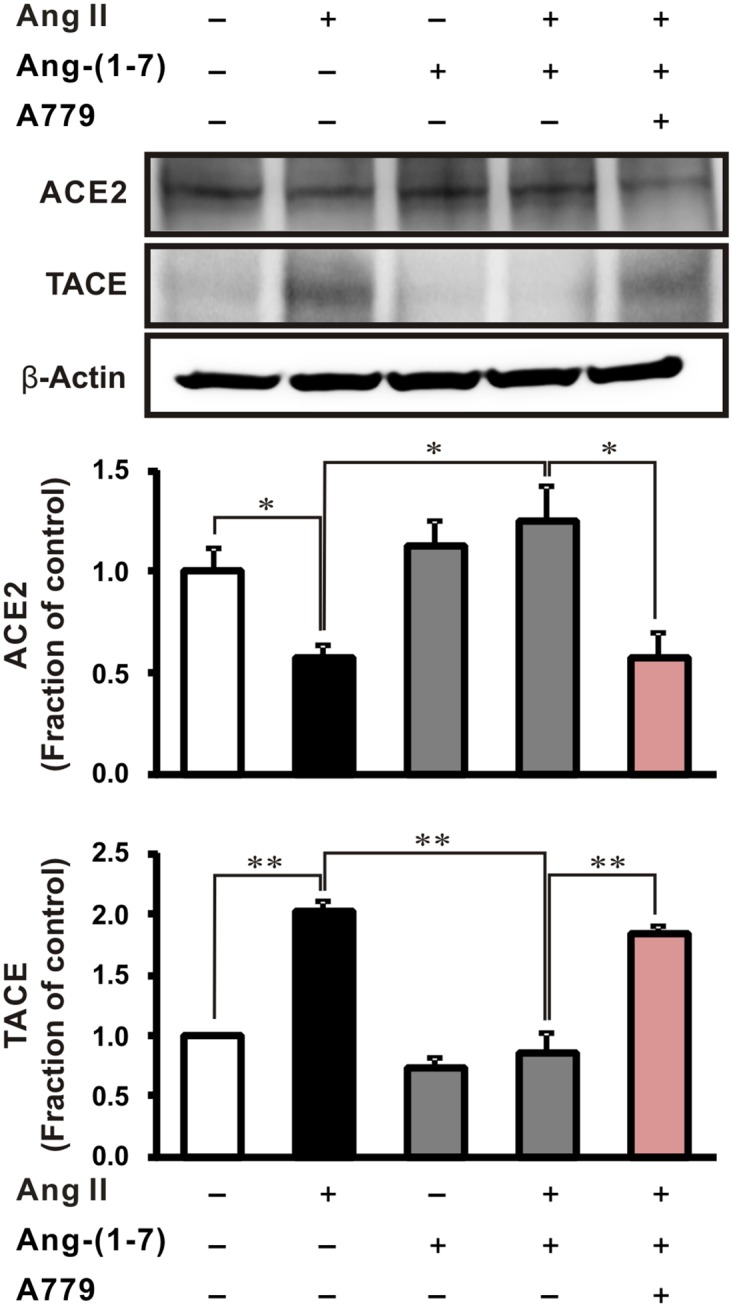 Fig 8