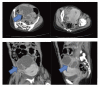 Fig. 2.