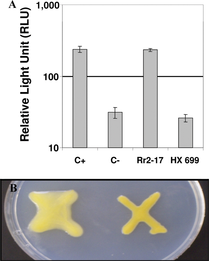 FIG. 2.