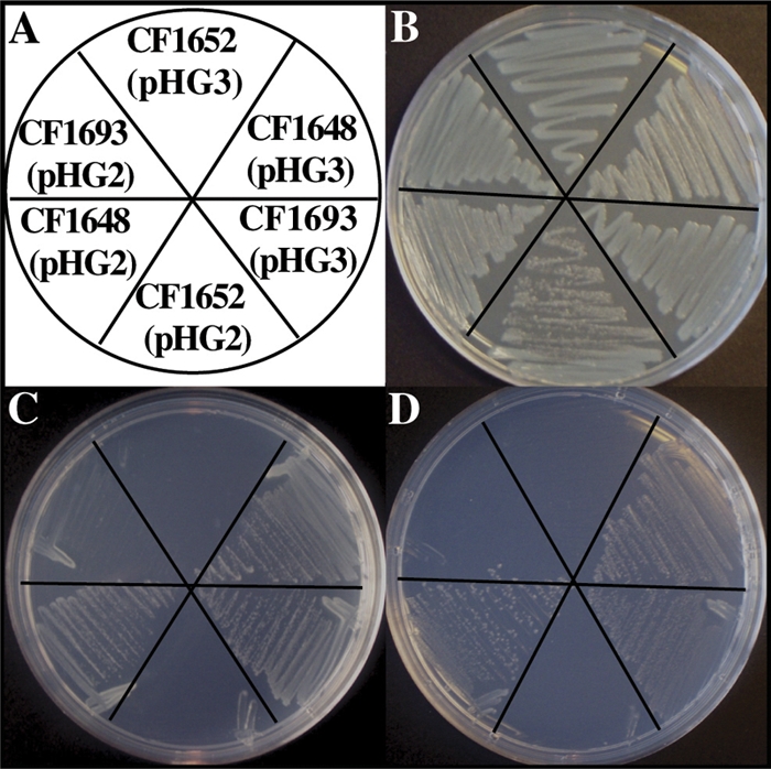 FIG. 4.