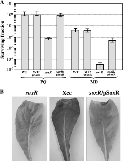 Fig 5