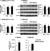 Figure 4A is a bar graph with confidence intervals plotting relative mRNA expression (y-axis) across proteins Nrf2 and Gclc for mice at Week 5 (10 pups). Figure 4B comprises an immunoblot and a bar graph with confidence intervals plotting protein expression (y-axis) across proteins Nrf2 and Gclc (x-axis) for mice at Week 5. Figure 4C is a bar graph with confidence intervals plotting relative mRNA expression (y-axis) across proteins Nrf2 and Gclc for mice at Week 39 (5 pups). Figure 4D comprises an immunoblot and a bar graph with confidence intervals alongside plotting protein expression (y-axis) across proteins Nrf2 and Gclc (x-axis) for mice at Week 39. Figures 4E and 4F are bar graphs with confidence intervals plotting micrometers of GSH per milligrams of tissue weight (y-axis) in control- and BPA-treated mice.