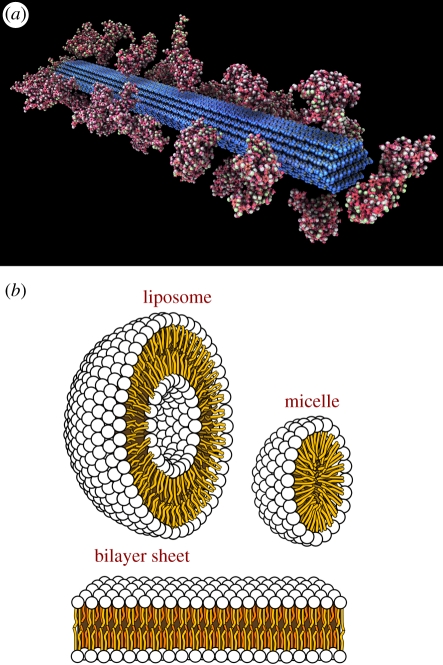 Figure 3.