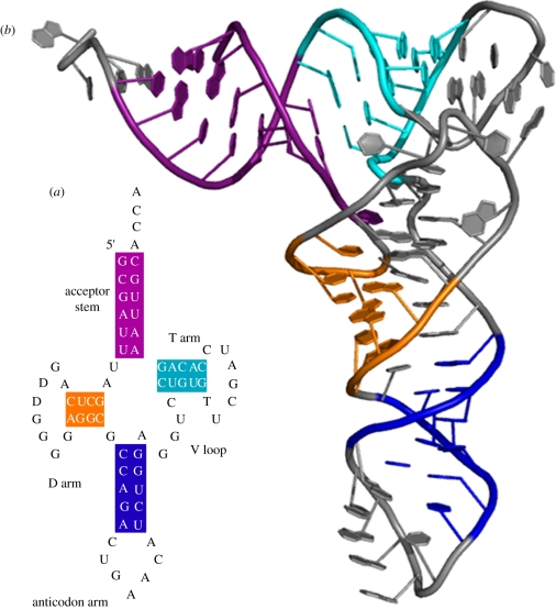 Figure 2.