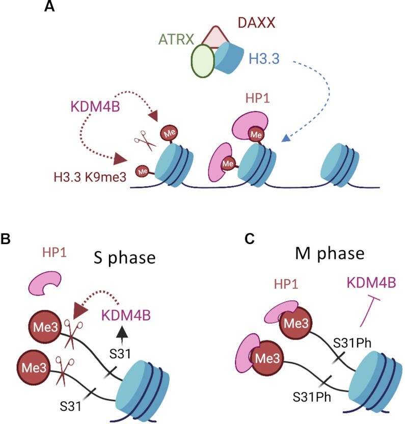 Figure 7.