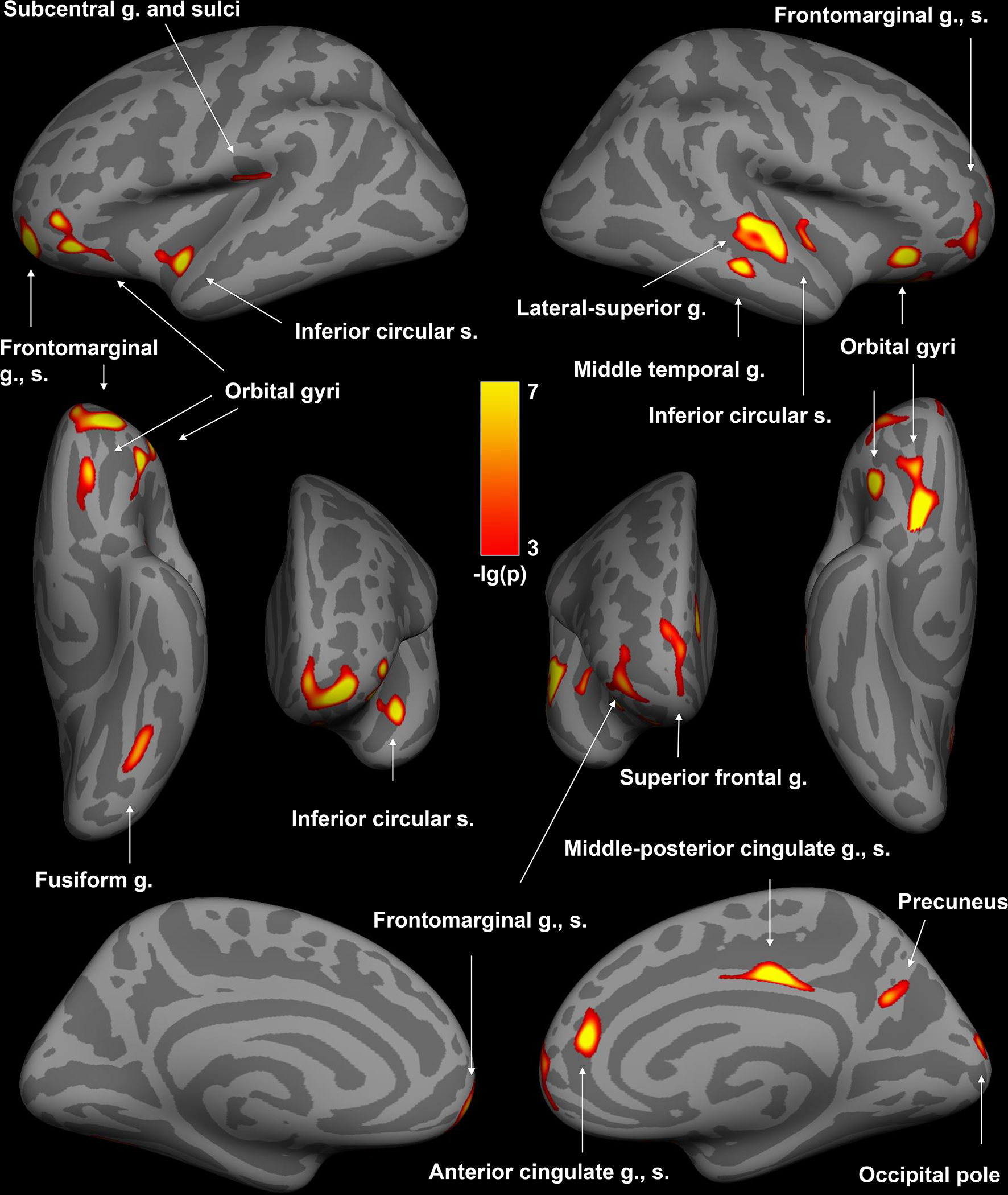 Figure 1: