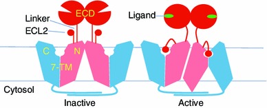 Figure 1