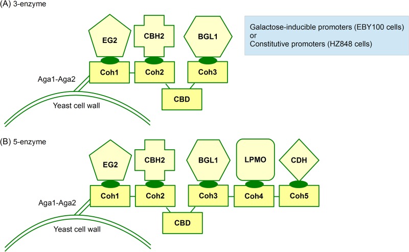 FIG 1