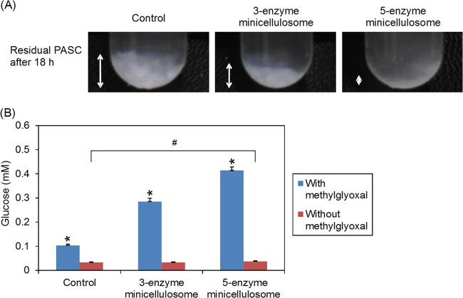 FIG 3