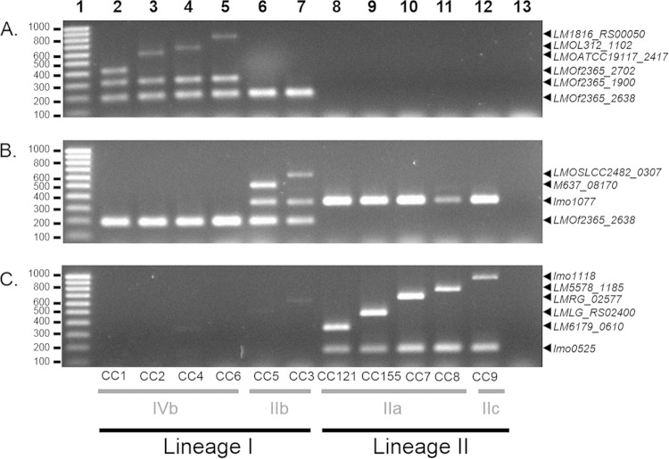 FIG 1