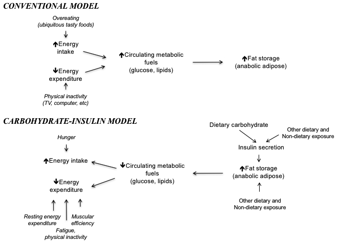 Explanatory Models of Obesity.