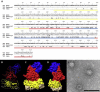 Fig. 3