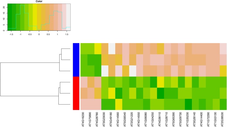 FIGURE 6