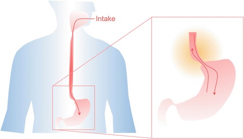 Fig. 10.2