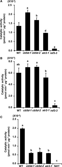 Figure 12.