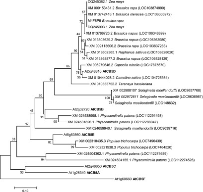 Figure 13.