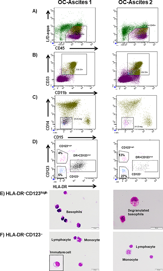 Figure 3: