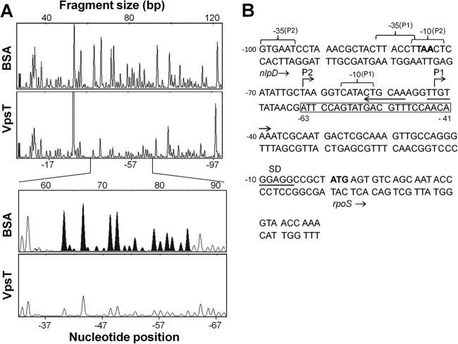 FIG 6