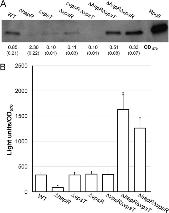 FIG 7