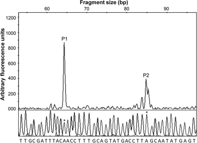 FIG 5