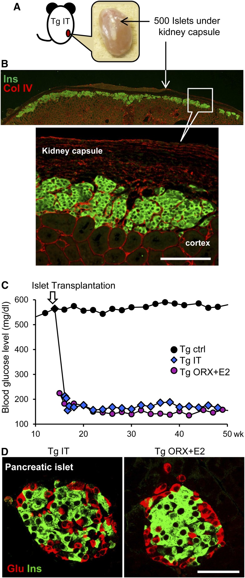 Figure 9.