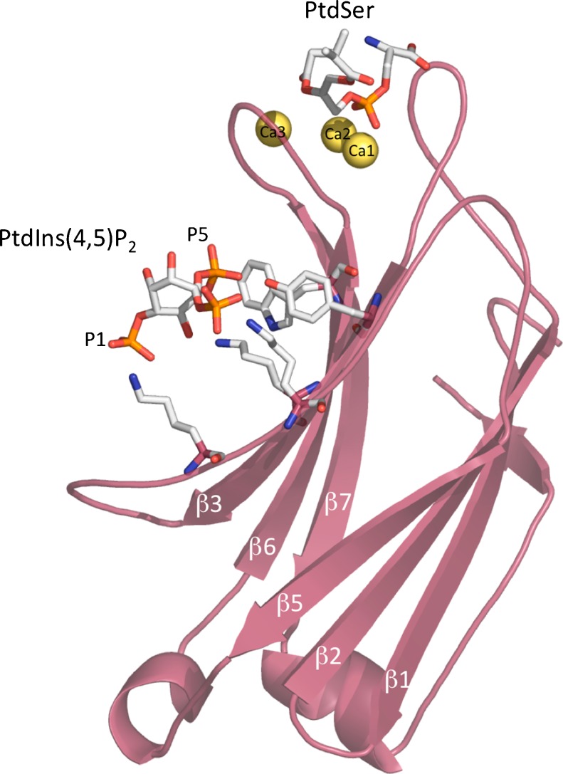 Fig. 3