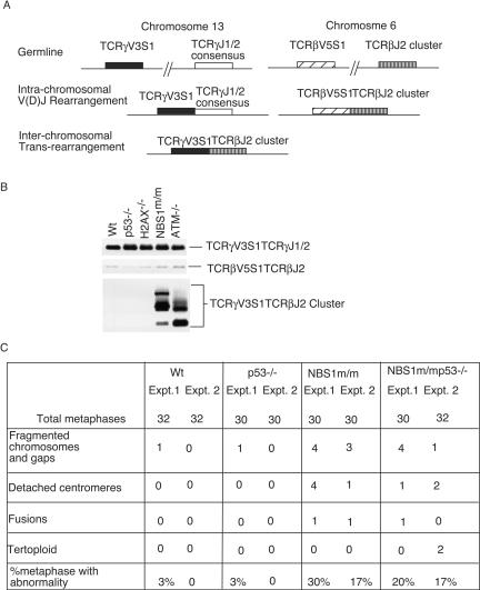 FIG. 4.