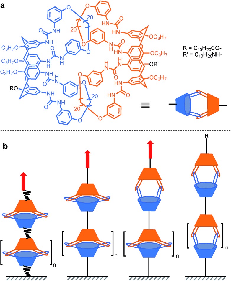 Scheme 7