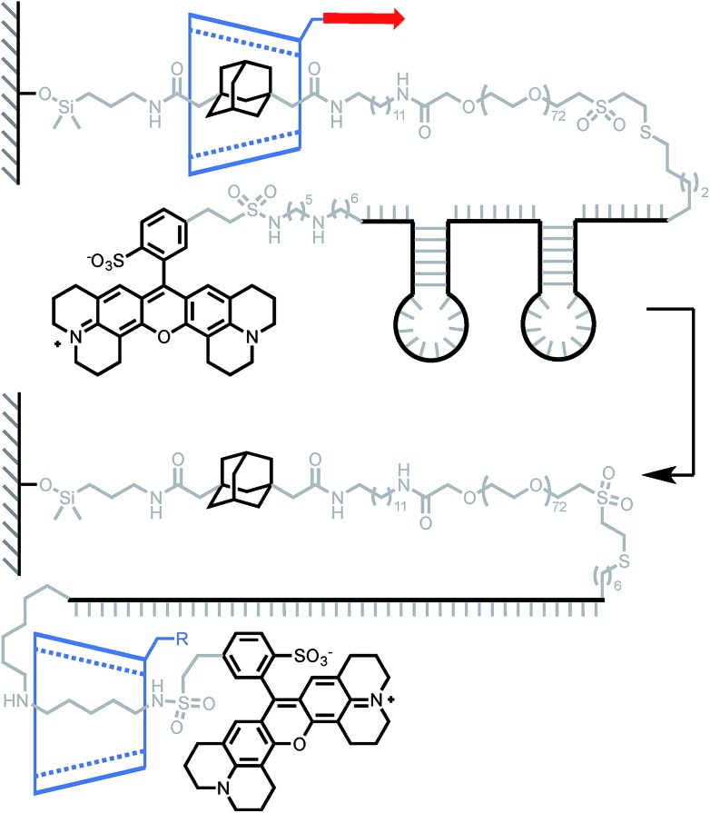 Scheme 4