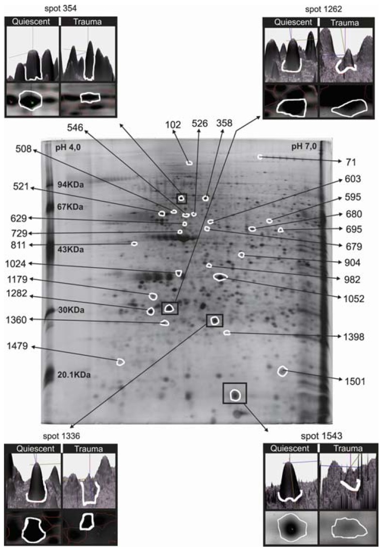 Fig. (1)