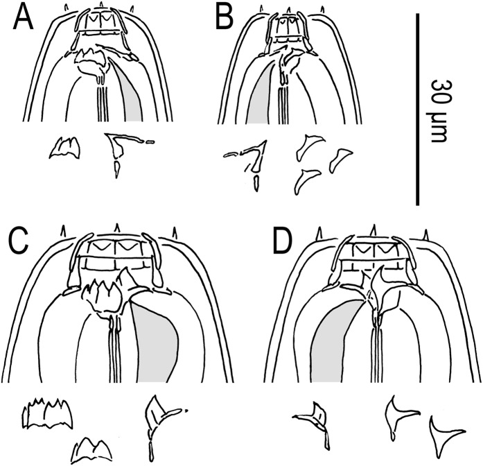 Fig. 6