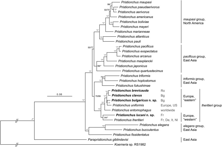 Fig. 10