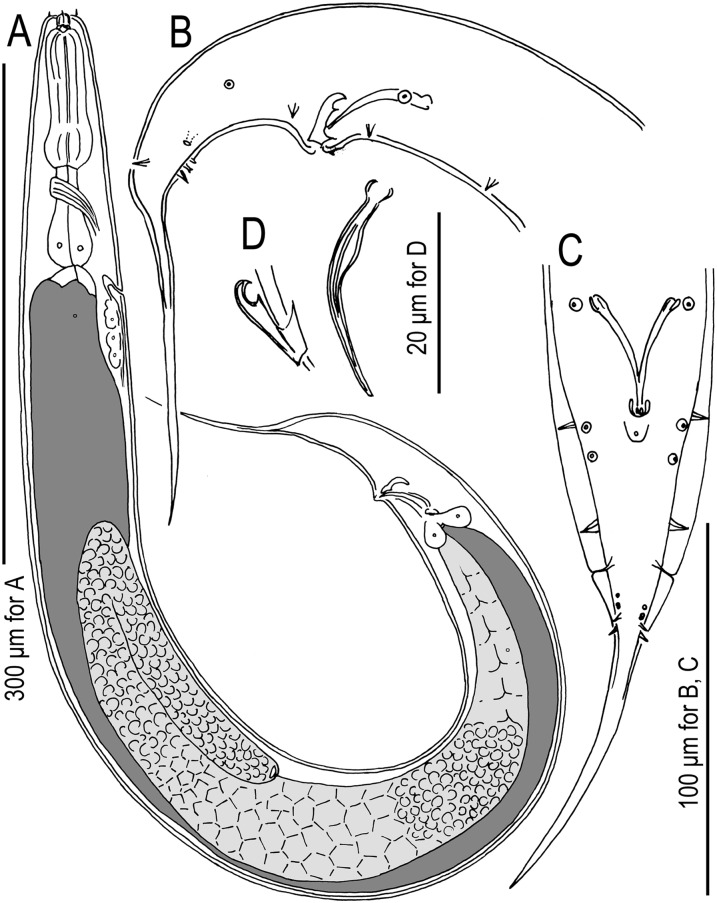 Fig. 5