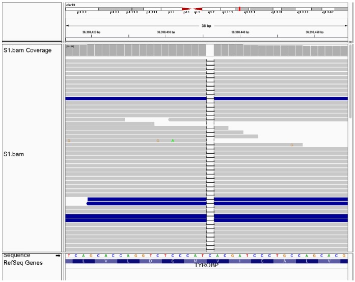 Figure 2.