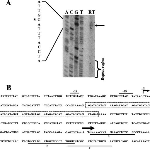 FIG. 8.