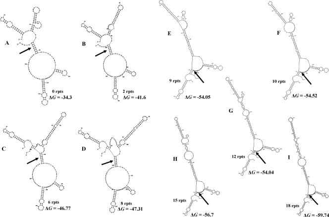 FIG. 10.