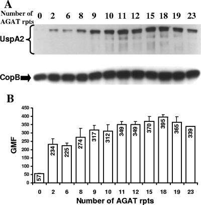 FIG. 4.