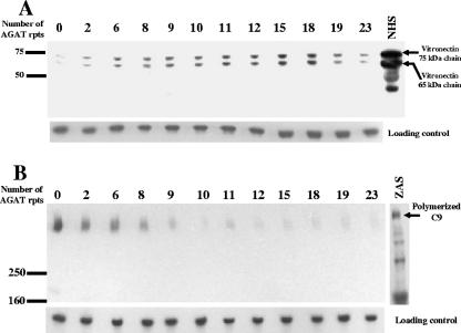 FIG. 6.