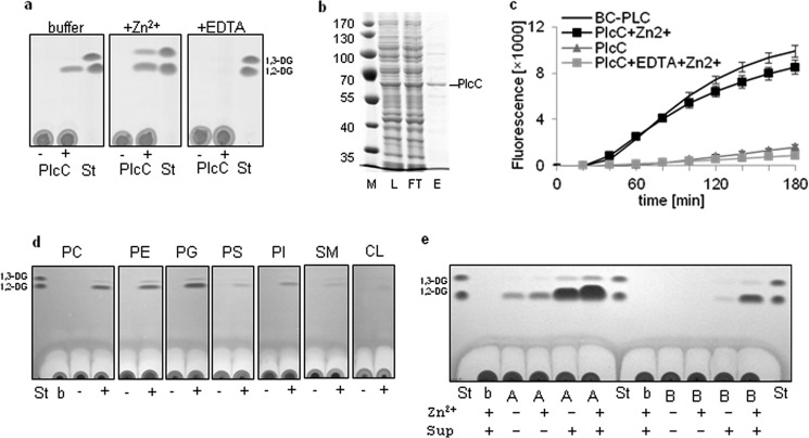 FIGURE 1.