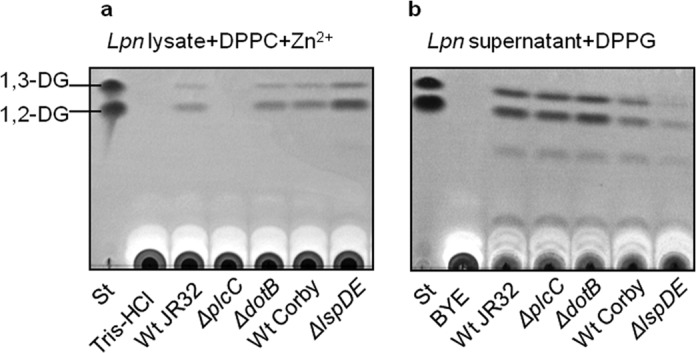 FIGURE 6.