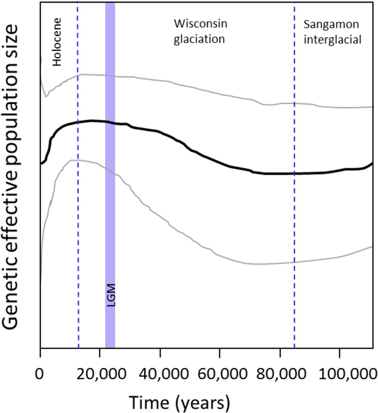 Fig 5