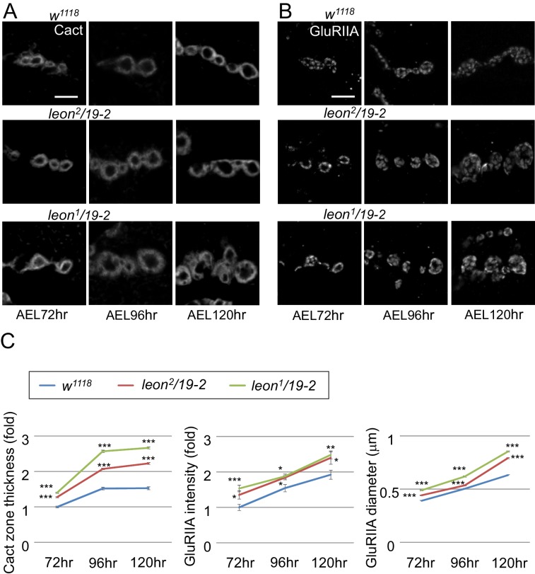 Figure 3—figure supplement 2.