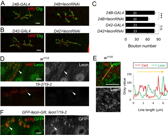 Figure 1—figure supplement 1.