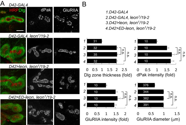 Figure 3—figure supplement 3.