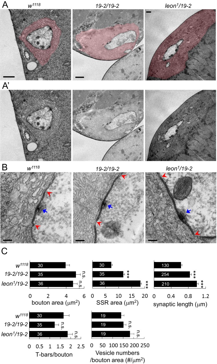 Figure 4.