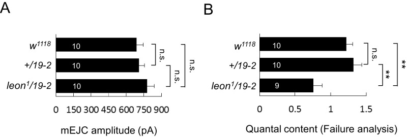 Figure 5—figure supplement 1.