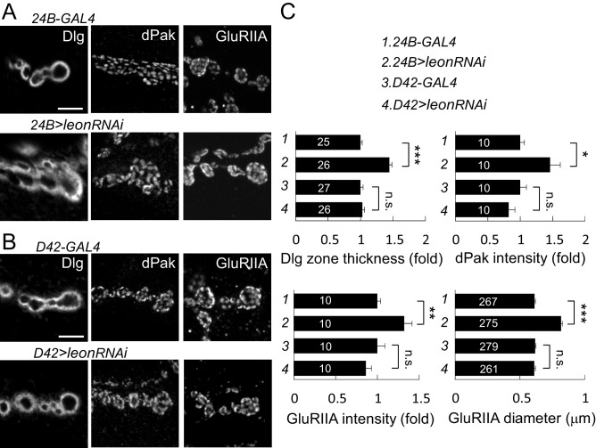 Figure 3—figure supplement 4.