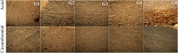Fig. 14